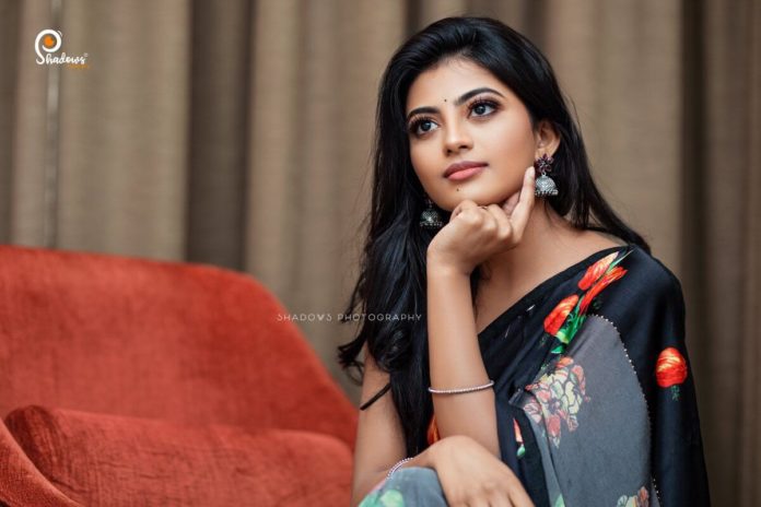 Kayal Anandhi Marriage Photos: Husband Name Socrates, Wedding Place